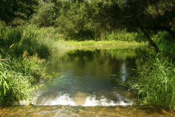 Картинка природа реки озера германия бавария река лето деревья трава