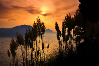 Картинка природа восходы закаты горы море залив закат трава метелки силуэт