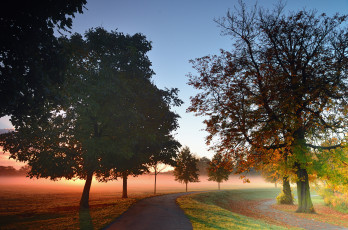 Картинка природа дороги дорога туман рассвет осень парк деревья