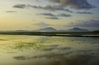 Картинка природа реки озера рассвет цвет утро холмы поля рисовые