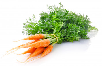 Картинка еда морковь плоды