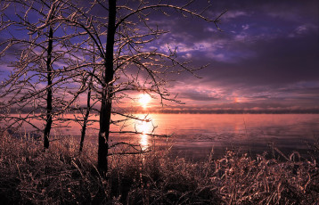 Картинка природа восходы закаты зима лед трава деревья озеро