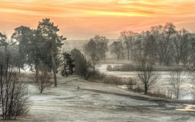 Обои картинки фото природа, зима, солнечно, морозно, утро, польша, залесье-дольне
