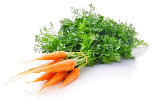 Обои картинки фото еда, морковь, плоды