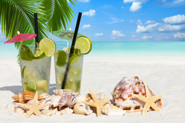 Обои картинки фото еда, напитки,  коктейль, пальма, пляж, palm, море, beach, лайм, котейль, морская, звезда, ракушки, sea, lime, total, starfish, shells