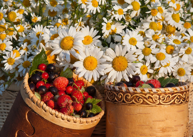 Обои картинки фото еда, фрукты,  ягоды, крыжовник, смородина, клубника, малина