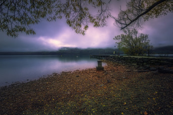 Картинка новая+зеландия природа реки озера деревья водоем причал камни облака фонарь