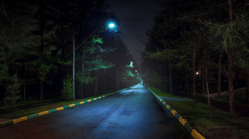 Картинка россия природа дороги фонари ночь растения трава деревья асфальт