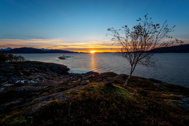 Обои картинки фото норвегия, природа, восходы, закаты, облака, растения, камни, деревья, водоем, горы