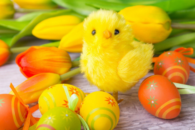 Обои картинки фото праздничные, пасха, тюльпаны, цыпленок, яйцо