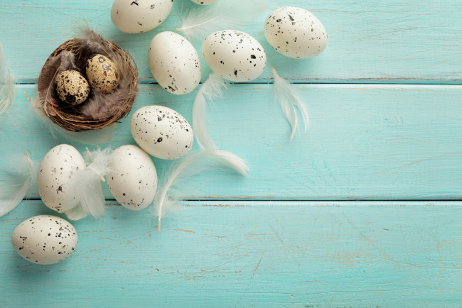 Обои картинки фото праздничные, пасха, яйцо, перья, гнездо