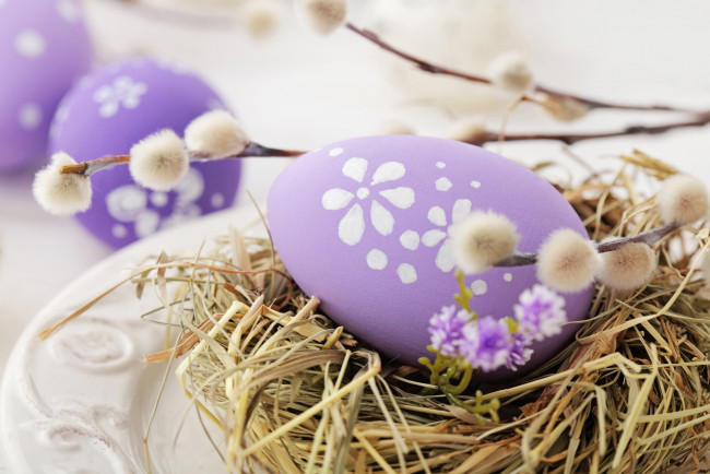 Обои картинки фото праздничные, пасха, яйцо, верба, гнездо