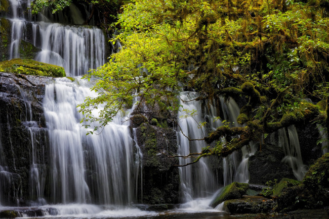 Обои картинки фото природа, водопады, new, zealand, каскад, новая, зеландия, tarara, тарара, purakanui, falls, отаго, otago, водопад, деревья