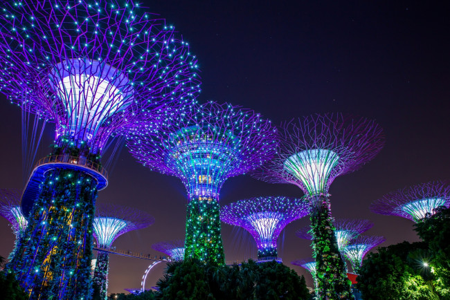 Обои картинки фото сингапур, разное, иллюминация, фонари, деревья, освещение