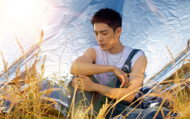 Обои картинки фото мужчины, xiao zhan, актер, футболка, комбинезон, трава, пленка