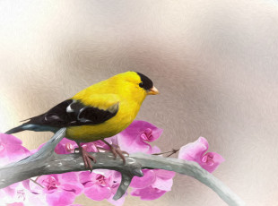 Картинка разное компьютерный+дизайн ветка цветы птица