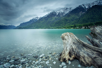 Картинка природа реки озера озеро лес горы швейцария