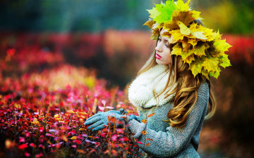Картинка девушки -unsort+ блондинки осень girl девушка maple клён осенние листья woman leaves autumn fall