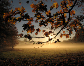 Картинка природа восходы закаты рассвет осень туман