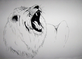 Картинка рисованное животные +львы лев грива хищник зверь