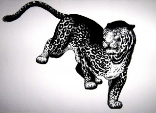 Картинка рисованное животные +ягуары +леопарды графика зверь хищник ягуар