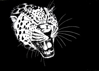 Картинка рисованное животные +ягуары +леопарды голова хищник зверь рев ягуар