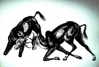Картинка рисованное животные газели графика антилопы