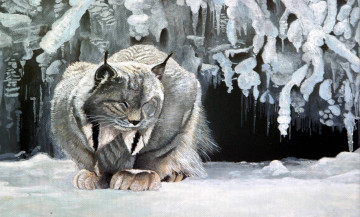 Картинка рисованное животные +рыси зверь рысь зима снег хищник