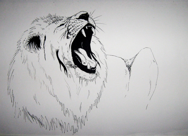 Обои картинки фото рисованное, животные,  львы, лев, грива, хищник, зверь