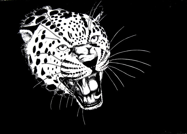 Обои картинки фото рисованное, животные,  ягуары,  леопарды, голова, хищник, зверь, рев, ягуар