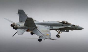 Картинка mcdonnell+douglas+ef-18m+hornet авиация боевые+самолёты истребитель