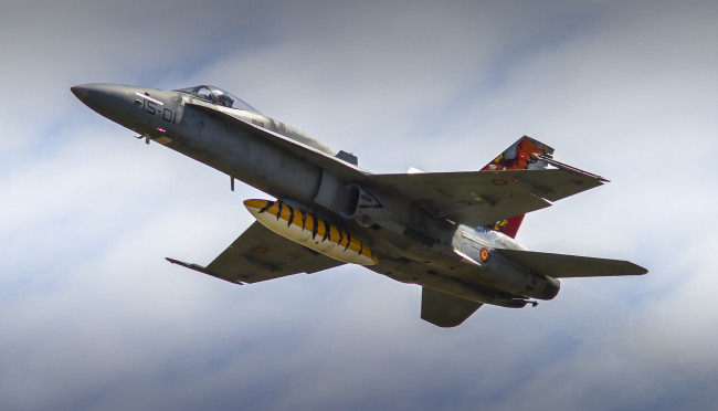 Обои картинки фото mcdonnell douglas ef-18m hornet, авиация, боевые самолёты, истребитель