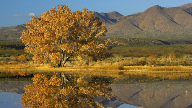 Обои картинки фото природа, деревья, осень, берег, вода, горы, отражение, река, голубое, небо