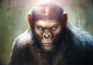 Картинка рисованные кино обезьян планеты восстание цезарь