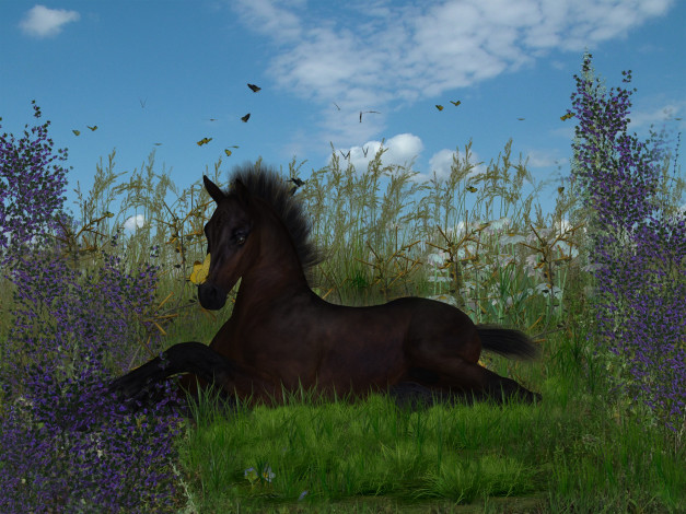 Обои картинки фото 3д графика, животные , animals, лето, лошадка, небо, облака, трава