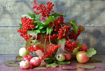Картинка еда фрукты +ягоды осень натюрморт яблоки калина