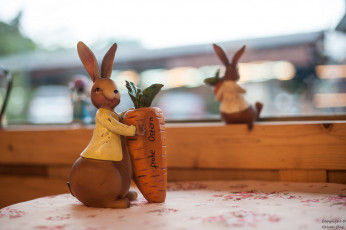 обоя разное, игрушки, морковка, кролик