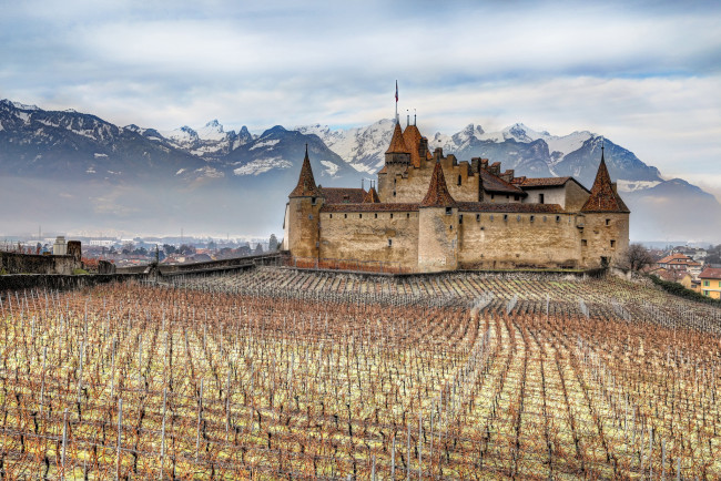 Обои картинки фото chateau d`aigle, города, замки швейцарии, виноградник, горы, замок