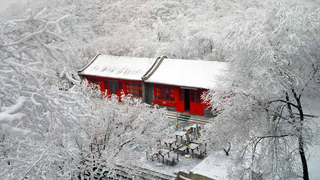 Обои картинки фото города, - здания,  дома, деревья, бадалин, снег, зима, китай, пекин, иней