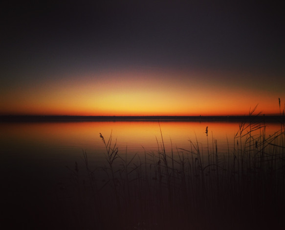 Обои картинки фото природа, восходы, закаты, камыши, озеро, горизонт, закат