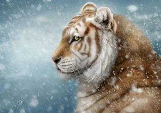 обоя рисованное, животные,  тигры, тигр, снег, хищник, профиль, красавец