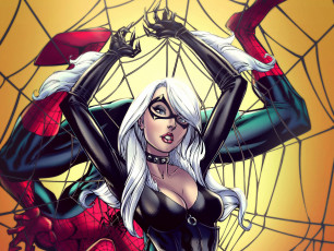 Картинка рисованное комиксы воровка marvel фантастика spider-man felicia hardy герой девушка костюм black cat