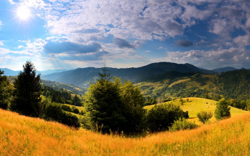 Картинка природа пейзажи леса карпаты трава деревья луга поля горы украина небо солнце облака красота