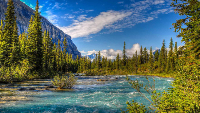 Обои картинки фото природа, реки, озера, река, mount, robson, provincial, park, горы, деревья, канада