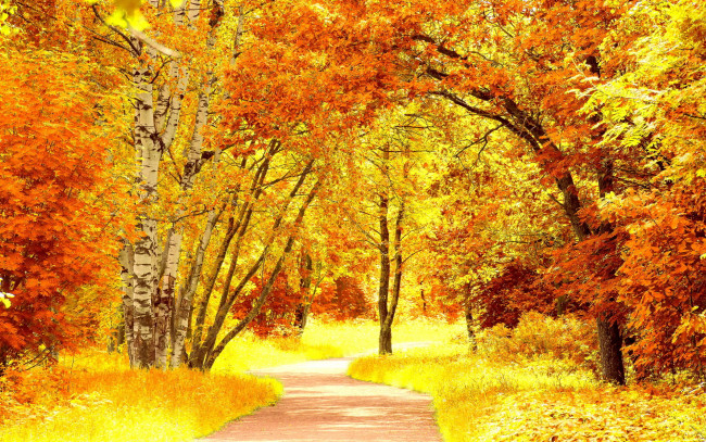 Обои картинки фото природа, дороги, осень