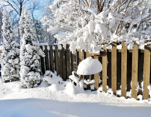 Картинка природа зима снег забор