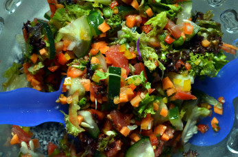 Картинка еда салаты +закуски салат овощной