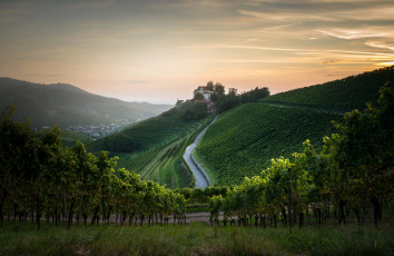 Картинка природа горы гора утро дом виноградник
