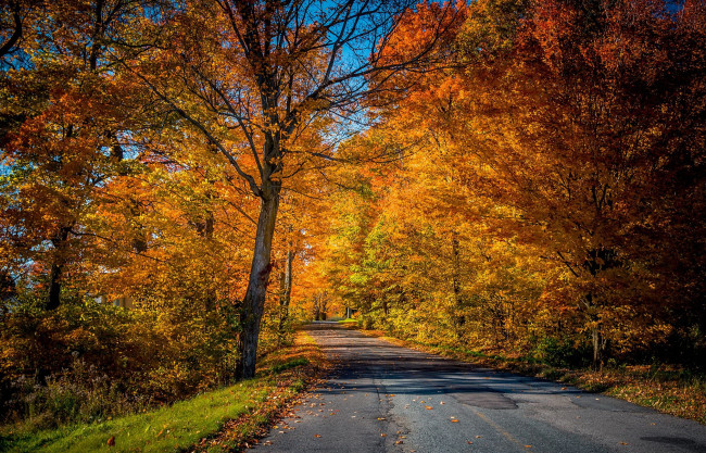Обои картинки фото природа, дороги, осень, дорога