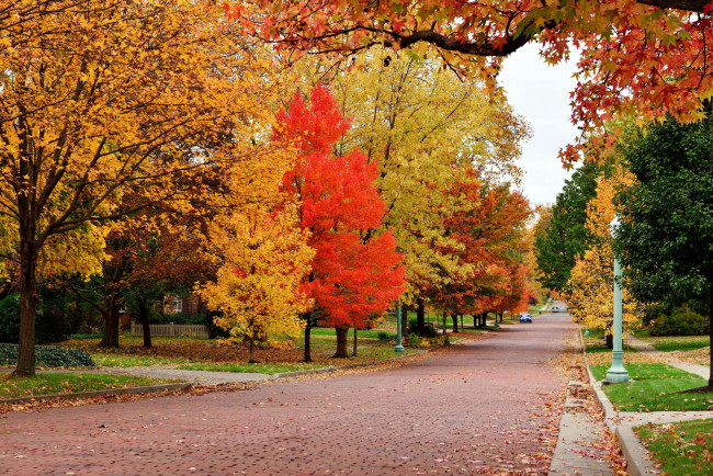 Обои картинки фото природа, дороги, осень, листопад, деревья